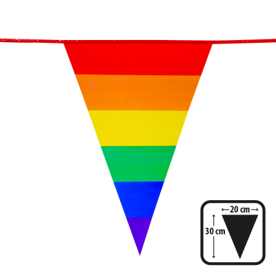 Pride vlaggetje in de vorm van een driehoek in regenboogkleuren, bevestigd aan een rode lijn. Rechtsonderin is een afbeelding van het vlaggetje met de afmeting van 20cm x 30cm erbij vermeld.