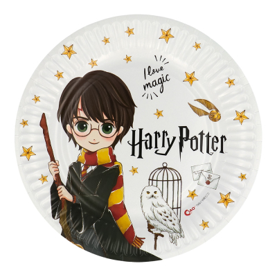 White disposable paper plate printed with several gold stars, Harry Potter with his broomstick and Hedwig the owl.