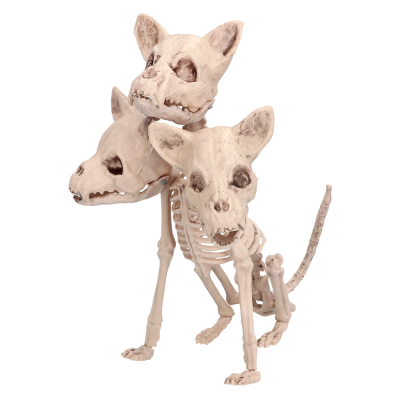 Halloween decoratie van een skelet van een mythische driekoppige hond.