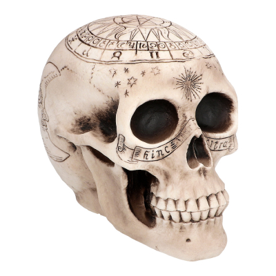 Skull with magic signs and spells engraved in it.