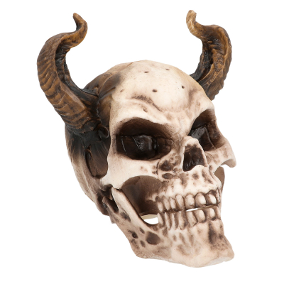 Skull of a demon with curved horns.