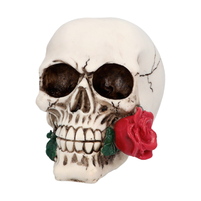 La tête de la mort avec une rose dans la bouche.