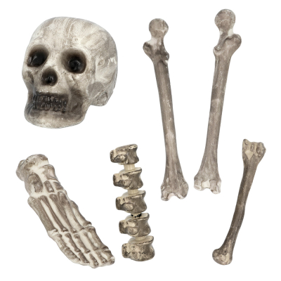 A decoration set with various bones such as a skull, foot, vertebra and 3 long bones, to use as decorations for a Halloween or pirate-themed party.