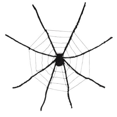 A large decorative black spider web with large black spider in the centre.