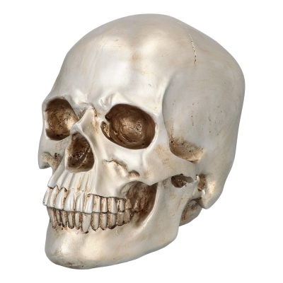 Silver skull