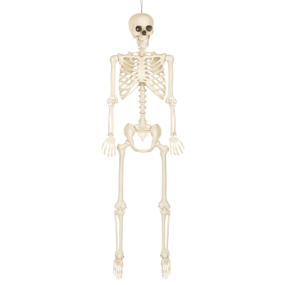 Hängende Dekoration Skelett für Halloween.