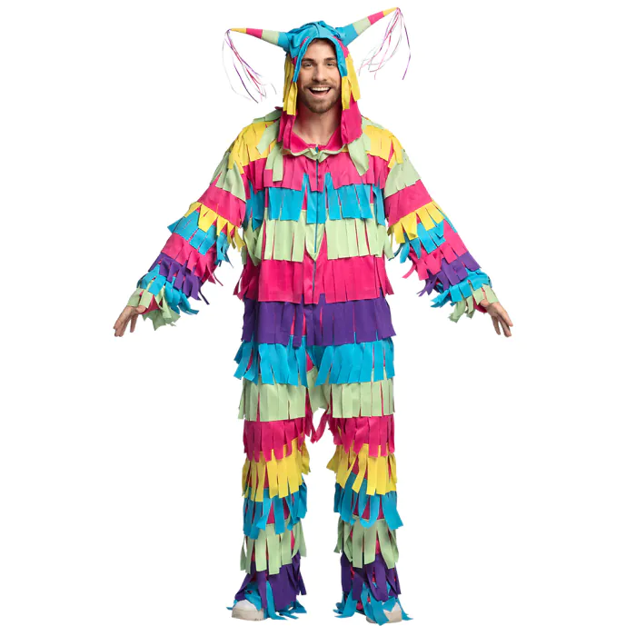 Pinata kostuum voor volwassenen voor carnaval Boland